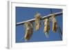 Corn Drying in the Sun at Fort Berthold, North Dakora-Angel Wynn-Framed Photographic Print