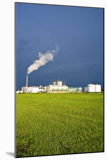 Corn Ethanol Processing Plant-David Nunuk-Mounted Photographic Print