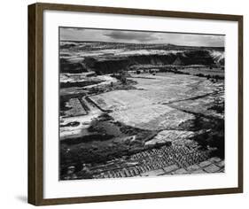 Corn Field, Indian Farm near Tuba City, Arizona, in Rain, 1941-Ansel Adams-Framed Art Print