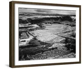 Corn Field, Indian Farm near Tuba City, Arizona, in Rain, 1941-Ansel Adams-Framed Art Print