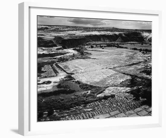 Corn Field, Indian Farm near Tuba City, Arizona, in Rain, 1941-Ansel Adams-Framed Art Print