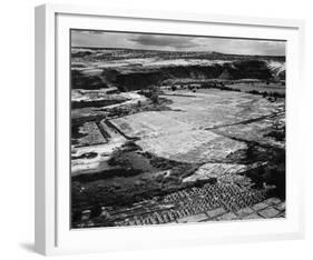 Corn Field, Indian Farm near Tuba City, Arizona, in Rain, 1941-Ansel Adams-Framed Art Print