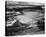 Corn Field, Indian Farm near Tuba City, Arizona, in Rain, 1941-Ansel Adams-Stretched Canvas