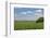 Corn Field, Nebraska, USA-Michael Scheufler-Framed Photographic Print