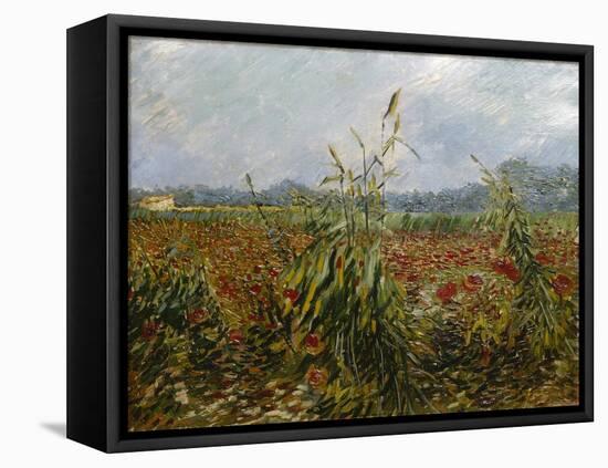 Corn Fields and Poppies, 1888-Vincent van Gogh-Framed Stretched Canvas