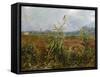 Corn Fields and Poppies, 1888-Vincent van Gogh-Framed Stretched Canvas