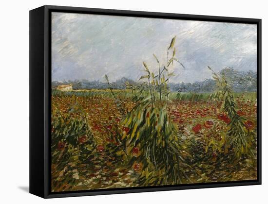 Corn Fields and Poppies, 1888-Vincent van Gogh-Framed Stretched Canvas