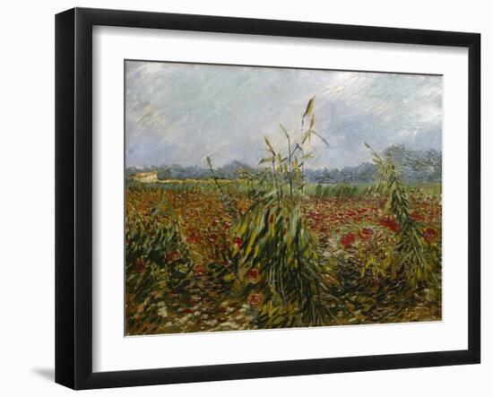 Corn Fields and Poppies, 1888-Vincent van Gogh-Framed Giclee Print