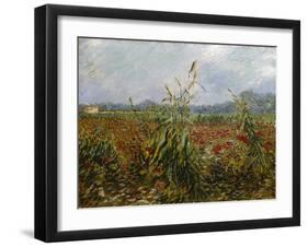 Corn Fields and Poppies, 1888-Vincent van Gogh-Framed Giclee Print