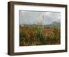 Corn Fields and Poppies, 1888-Vincent van Gogh-Framed Premium Giclee Print