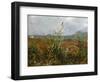 Corn Fields and Poppies, 1888-Vincent van Gogh-Framed Premium Giclee Print