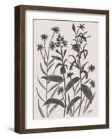 Corn Flower-Beverly Dyer-Framed Art Print