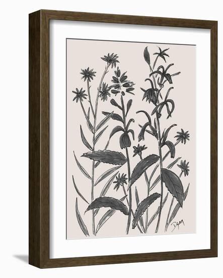 Corn Flower-Beverly Dyer-Framed Art Print