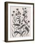 Corn Flower-Beverly Dyer-Framed Art Print