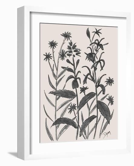 Corn Flower-Beverly Dyer-Framed Art Print