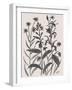 Corn Flower-Beverly Dyer-Framed Art Print