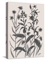Corn Flower-Beverly Dyer-Stretched Canvas