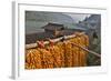 Corn Hanging to Dry in Old Farm House, China Kunming District-Darrell Gulin-Framed Photographic Print