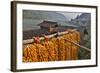 Corn Hanging to Dry in Old Farm House, China Kunming District-Darrell Gulin-Framed Photographic Print
