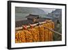 Corn Hanging to Dry in Old Farm House, China Kunming District-Darrell Gulin-Framed Photographic Print