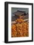 Corn Hanging to Dry in Old Farm House, China Kunming District-Darrell Gulin-Framed Photographic Print