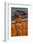 Corn Hanging to Dry in Old Farm House, China Kunming District-Darrell Gulin-Framed Photographic Print