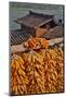 Corn Hanging to Dry in Old Farm House, China Kunming District-Darrell Gulin-Mounted Photographic Print