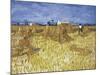 Corn Harvest in Provence-Vincent van Gogh-Mounted Giclee Print