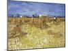 Corn Harvest in Provence-Vincent van Gogh-Mounted Giclee Print