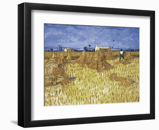 Corn Harvest in Provence-Vincent van Gogh-Framed Giclee Print