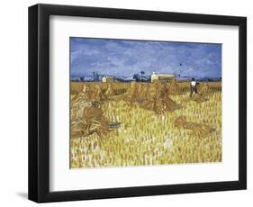 Corn Harvest in Provence-Vincent van Gogh-Framed Giclee Print