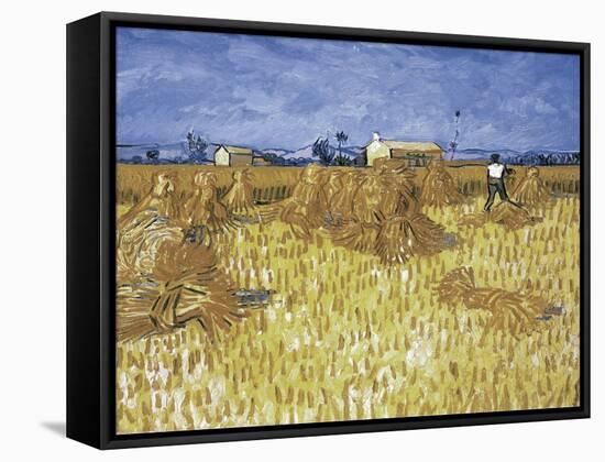 Corn Harvest in Provence-Vincent van Gogh-Framed Stretched Canvas