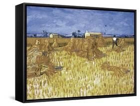 Corn Harvest in Provence-Vincent van Gogh-Framed Stretched Canvas