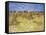 Corn Harvest in Provence-Vincent van Gogh-Framed Stretched Canvas