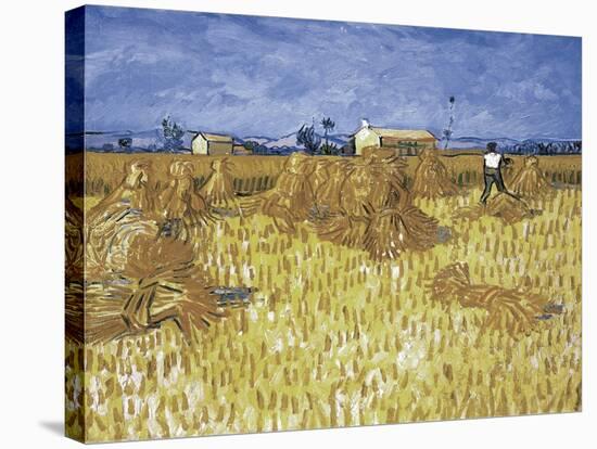 Corn Harvest in Provence-Vincent van Gogh-Stretched Canvas