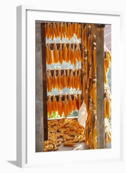 Corn Hung to Dry, Rize, Black Sea Region of Turkey-Ali Kabas-Framed Photographic Print