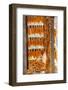 Corn Hung to Dry, Rize, Black Sea Region of Turkey-Ali Kabas-Framed Photographic Print