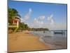 Corn Islands, Little Corn Island, Beach Bar Near the Viillage, Nicaragua-Jane Sweeney-Mounted Photographic Print