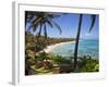 Corn Islands, Little Corn Island, Coral and Iguana Beach, Nicaragua-Jane Sweeney-Framed Photographic Print