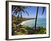 Corn Islands, Little Corn Island, Coral and Iguana Beach, Nicaragua-Jane Sweeney-Framed Photographic Print