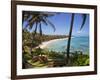 Corn Islands, Little Corn Island, Coral and Iguana Beach, Nicaragua-Jane Sweeney-Framed Photographic Print