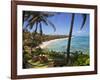 Corn Islands, Little Corn Island, Coral and Iguana Beach, Nicaragua-Jane Sweeney-Framed Photographic Print