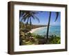 Corn Islands, Little Corn Island, Coral and Iguana Beach, Nicaragua-Jane Sweeney-Framed Photographic Print