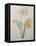 Corn Lilly with Blue Spots-Pierre-Joseph Redoute-Framed Stretched Canvas