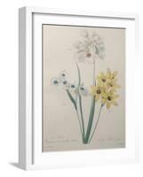 Corn Lilly with Blue Spots-Pierre-Joseph Redoute-Framed Art Print