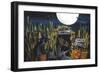 Corn Maze Halloween Night Full Moon-sylvia pimental-Framed Art Print