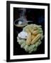 Corn on the Cob with Local Cheese, Ollantaytambo, Peru-Cindy Miller Hopkins-Framed Photographic Print
