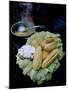 Corn on the Cob with Local Cheese, Ollantaytambo, Peru-Cindy Miller Hopkins-Mounted Photographic Print