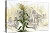 Corn, or Maize, Staple Food of the Native Americans-null-Stretched Canvas