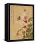 Corn Poppy and Butterflies, 1702-Ma Yuanyu-Framed Stretched Canvas